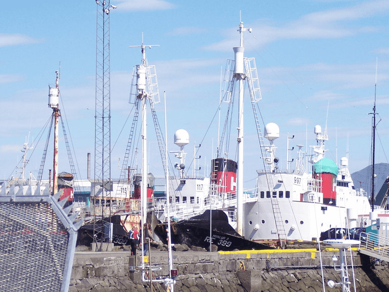 Schepen voor de walvisjacht, IJsland