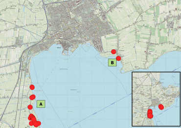 De populatie in Etersheim Schardam (A) ten opzichte van de waarnemingen ten hoogte van Schellinkhout (B)