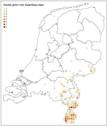 Staartblauwtje in Nederland vanaf 2011, aantal jaren dat de soort is waargenomen