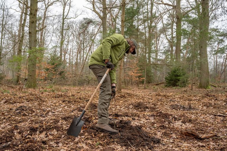 Op kleine percelen gebeurt planten nog vaak met de hand en spade. Met een handboor kun je dan eerst plantgaten maken om het planten te vergemakkelijken. Bij grote oppervlaktes nieuwe aanplant, bijvoorbeeld op voormalige landbouwgrond, biedt een plantmachine uitkomst