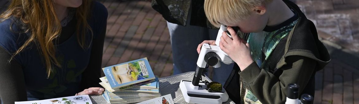 Jongen kijkt door microscoop tijdens Expeditie stadsnatuur