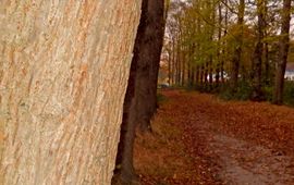Kars Veling stropen Grebbeberg - primair