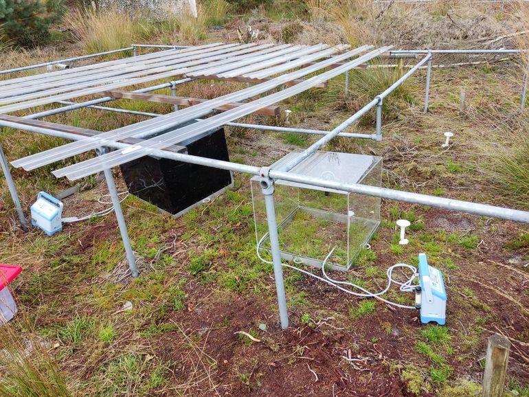 Het meten van ecosysteem-respiratie (donkere kamer) en de netto opname of uitstoot van CO2 (transparante kamer) in een langlopend droogte-experiment op de Veluwe