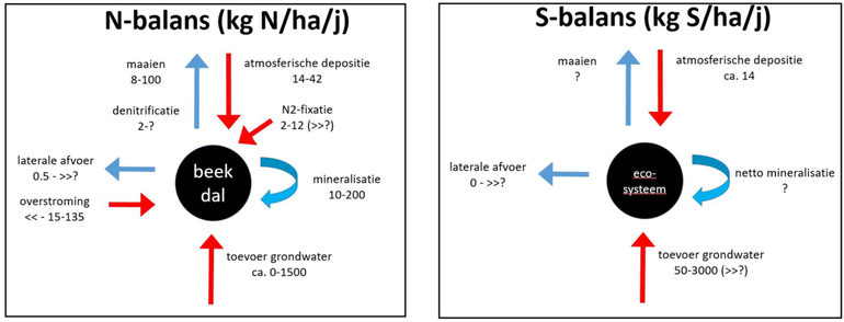 Figuur 2: De stofbalans van minerale stikstof en zwavel in kwelzones. De toevoer van stoffen door toestroming van grondwater zijn gebaseerd op dit onderzoek en kunnen zeer groot zijn. Zo kan de stikstofbelasting door toevoer van grondwater vele malen groter zijn dan de atmosferische depositie