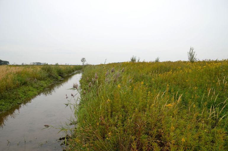 Tiengemeten