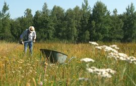 Tim Visser en Sander van Iersel, Wild Step (stills uit de film) Willem van Hemmen - Primair