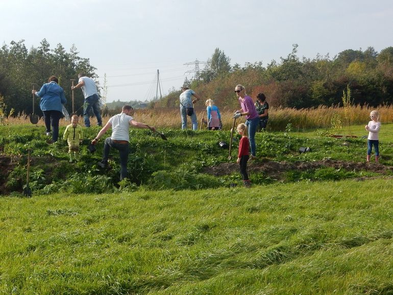 De heuvel werd ingeplant met honderen vlinder- en bijvriendelijke struiken