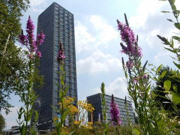 Ook buiten natuurgebieden, zoals in steden, moet de Basiskwaliteit Natuur op orde zijn