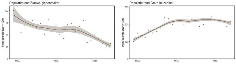 De populatietrends van de blauwe glazenmaker en de grote keizerlibel. Deze grafieken zijn gebaseerd op tellingen in het Landelijk Meetprogramma Libellen.