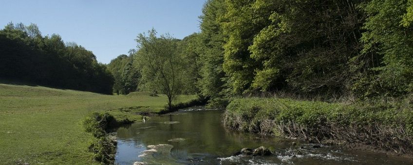 Belgie, Liege, stroom bij Plombieres