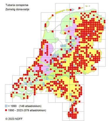 Verspreiding van het Zemelig donsvoetje