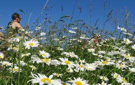 Kars Veling bloemenberm met fietsers - primair