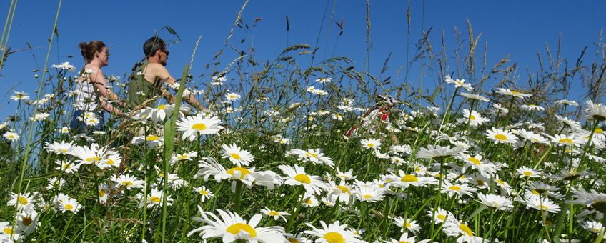 bloemenberm met fietsers - primair