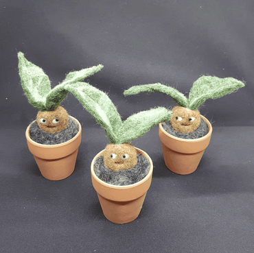 Tijdens het Science café kun je zelf een mandragora maken