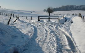 Wout van der Slikke sneeuwlandschap