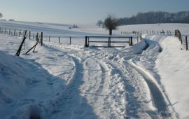 sneeuwlandschap