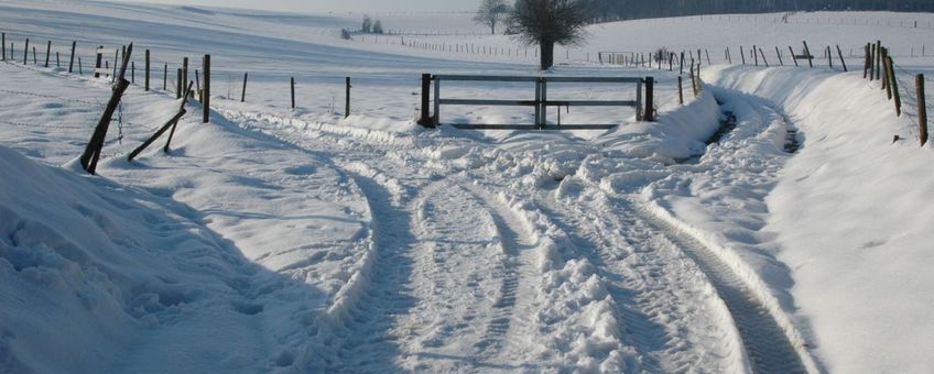 sneeuwlandschap