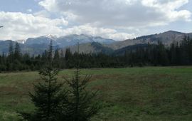 Berghelling in Noord Tatra (Polen)