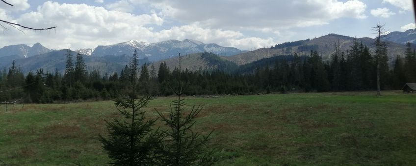 Berghelling in Noord Tatra (Polen)