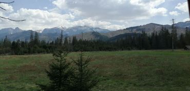 North Tatra mountain in Poland. The slopes were cleared after bark beetles caused great mortality among Norway spruce