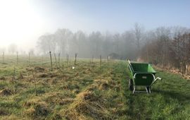Aanplant voedselbos in Driebergen