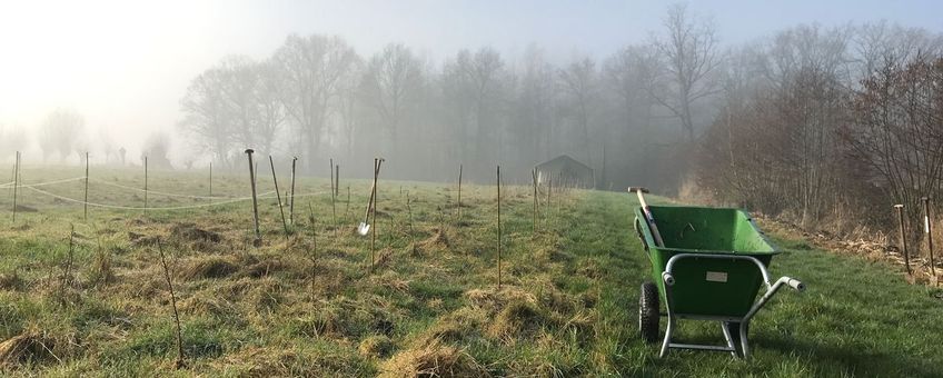 Aanplant voedselbos in Driebergen