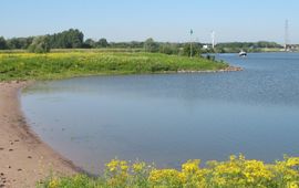 Marijn Prins starndje langs rivier - primair