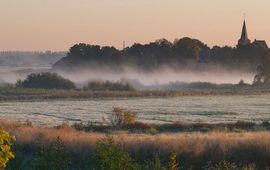 Heggenlandschap