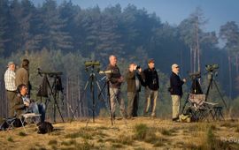 trektelpost Averbode Bos en Heide