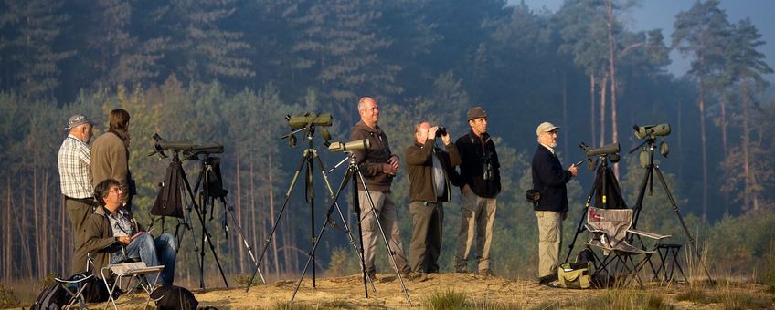 trektelpost Averbode Bos en Heide