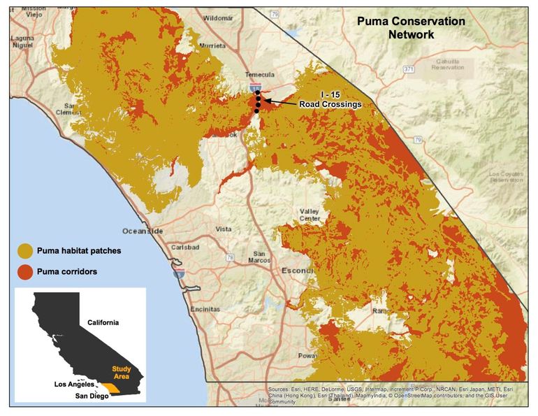 Places where puma's crossed I-15