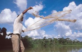 Edward Parker, WWF Visser