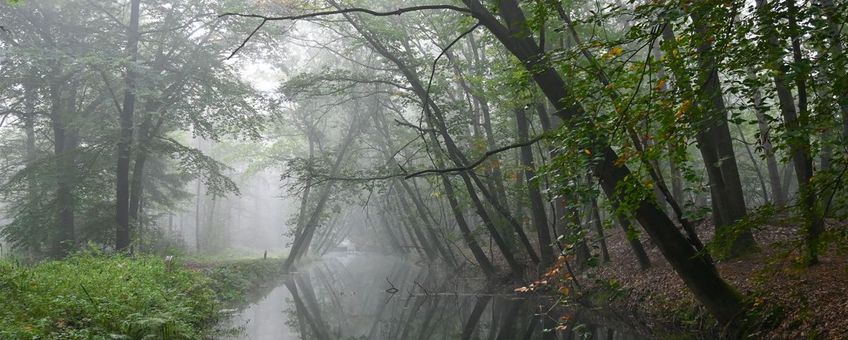 Tegenwoordig zien we de natuur steeds meer als partner of onszelf als onderdeel van de natuur, volgens Matthijs Schouten.