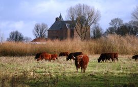 Tanja de Bode FREE Nature Rode Geuzen bij Slot Loevesten