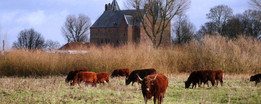 Rode Geuzen bij Slot Loevesten