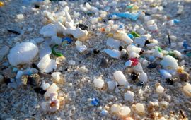 Microplastics On Beach