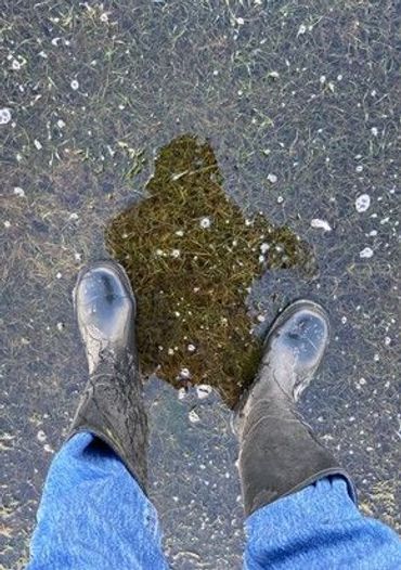 Met de laarzen op ijs bij het Lauwersmeer