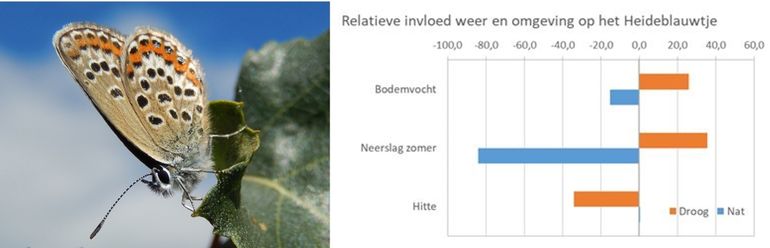 Percentage van de aantalsverandering van het heideblauwtje dat wordt verklaard door klimaat en  omgeving. Positieve invloeden hebben een positieve waarde; voor negatieve invloeden is dit andersom. De som van de absolute waarden is 100 procent.