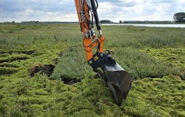 Janneke van der Loop Afgraven van watercrassula