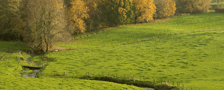 Beekdallandschap in de Voerstreek