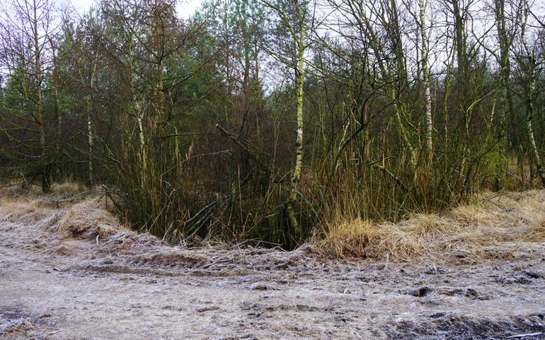 Beschaduwde en dichtgegroeide poel voor de opschoonbeurt, Landgoed de Utrecht