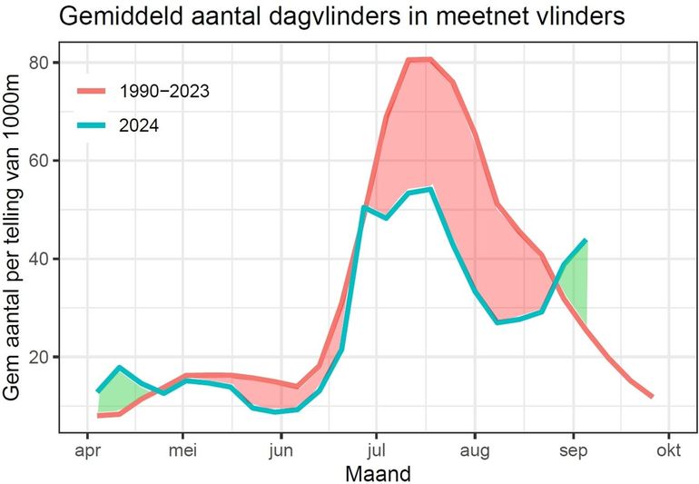 Voorlopige gegevens tot 9 september 2024. De blauwe lijn geeft het gemiddeld aantal vlinders per telling in 2024, de rode lijn is het gemiddelde vanaf 1990. Rode delen: minder vlinders dan 'normaal', groene delen: meer vlinders dan normaal