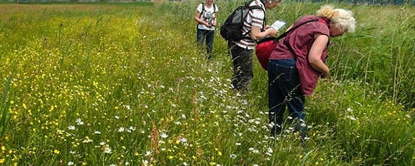 Excursie in het gebied