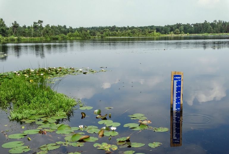 Peilmeter in de Hazenputten