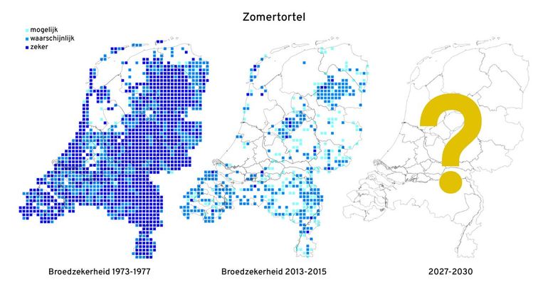 Verspreidingskaart (broedzekerheid) van zomertortels in 1973-77 (links), 2013-15 (midden) en 2027-30 (rechts)
