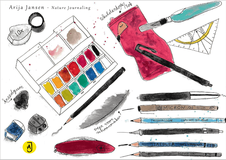 Voor nature journaling heb je niet veel nodig: een boek, potlood, gum en pen. Maar Arija heeft ook altijd een klein setje waterverf, een loep en een penseel op zak