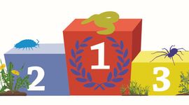 Podium Top 3 bodemdieren