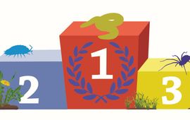 Podium Top 3 bodemdieren