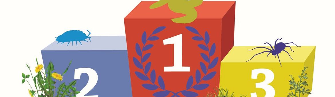 Podium Top 3 bodemdieren