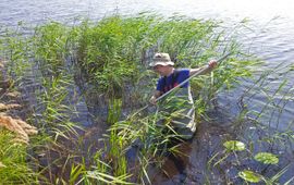 Dennis Waasdorp, NIOO-KNAW Macrofauna verzamelen